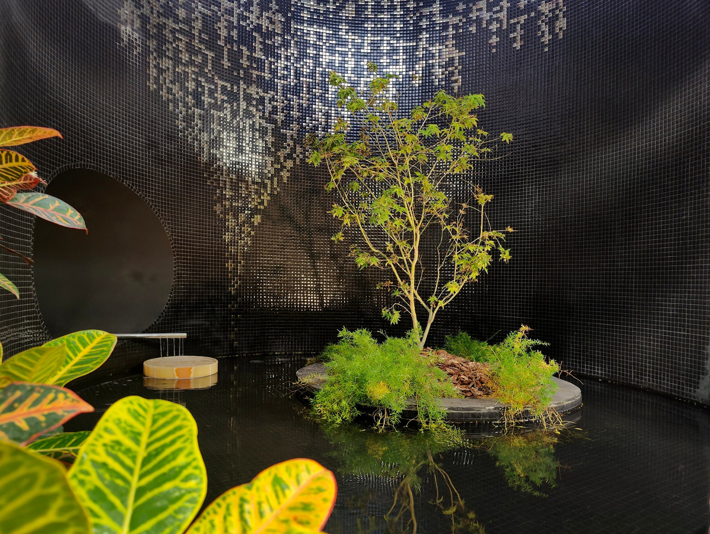 Jungle Room